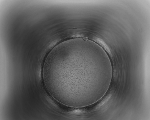 X0000093430441200710191029