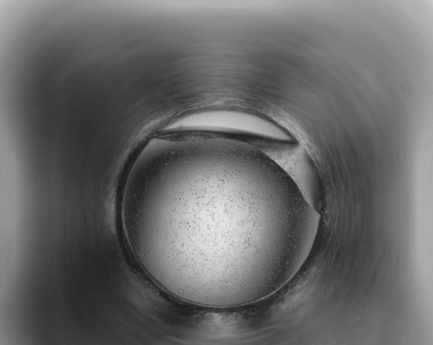 X0000093430442200710191030
