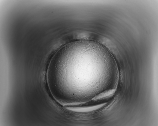 X0000093430449200710191030