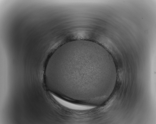 X0000093430450200710191030