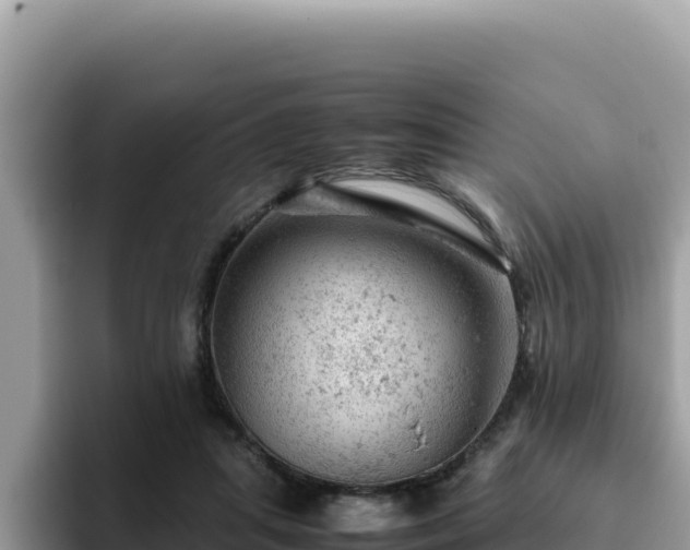 X0000093430455200710191030