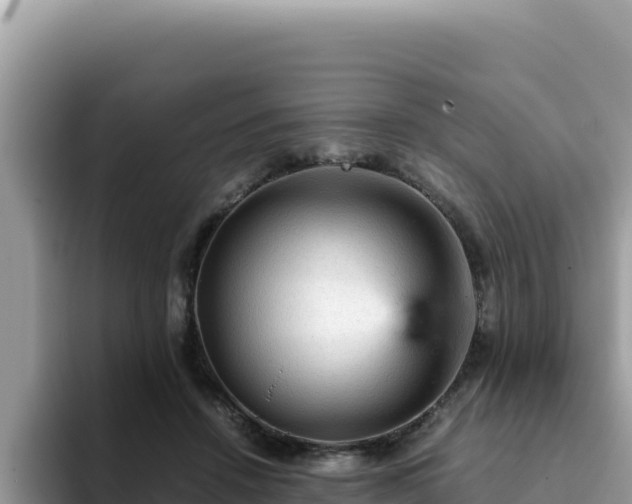 X0000093430456200710191030