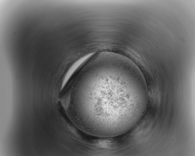 X0000093430462200710191030