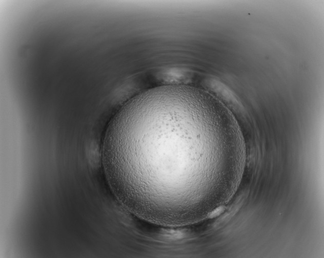 X0000093430469200710191030
