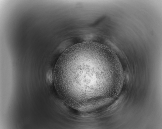 X0000093430479200710191030