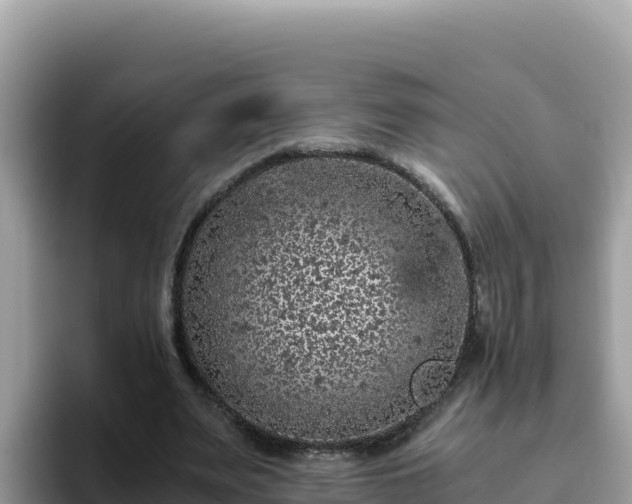 X0000093430487200710191029