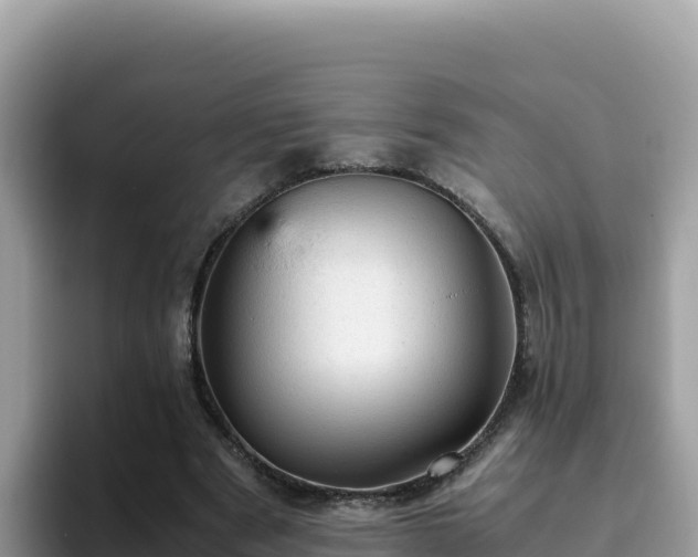 X0000093430489200710191029