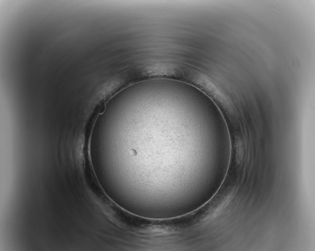 X0000093430490200710191029