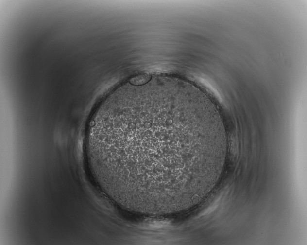X0000093430491200710191029