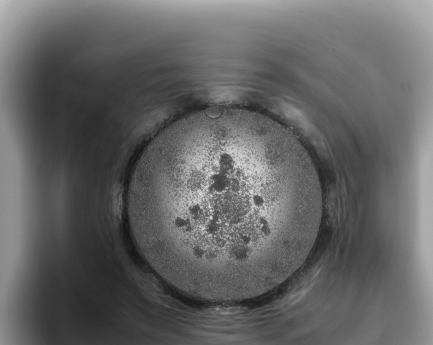 X0000093430495200710191029