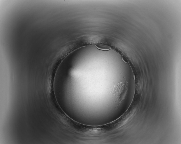 X0000093430497200710191029