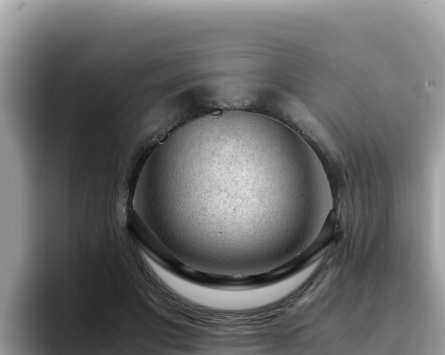 X0000093430501200710191029