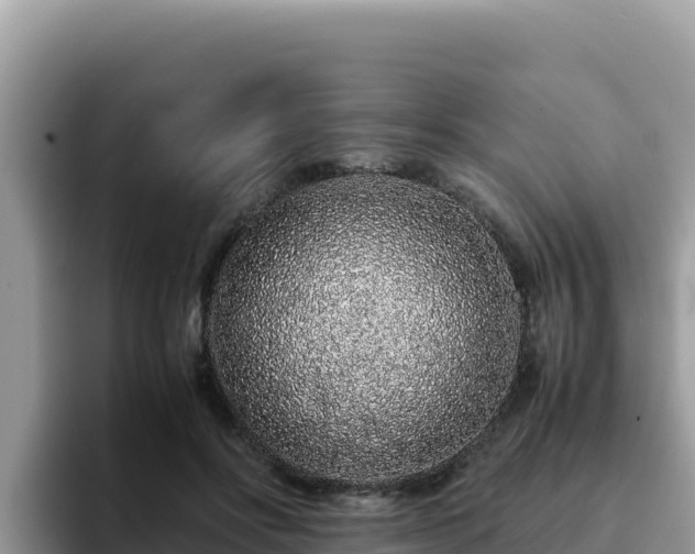 X0000093430502200710191029