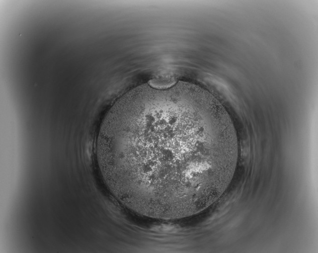 X0000093430503200710191029