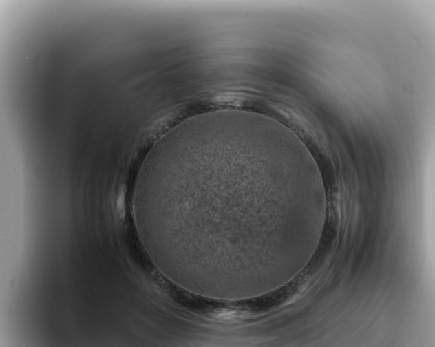 X0000093430504200710191029
