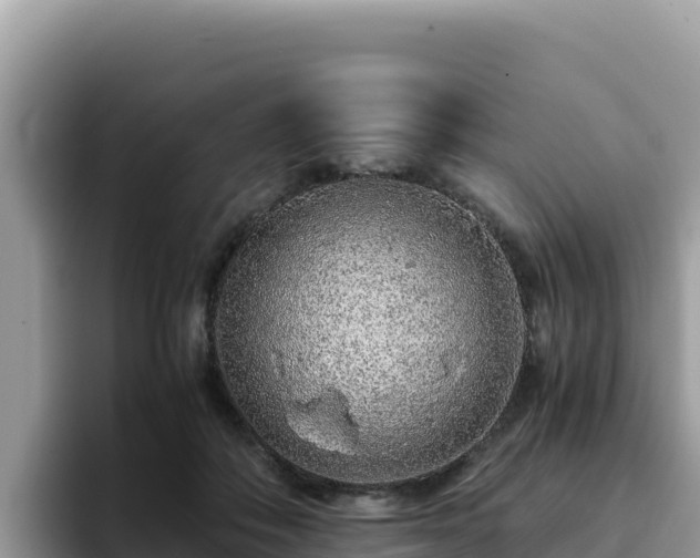 X0000093430506200710191029