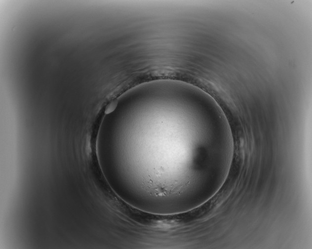 X0000093430508200710191029