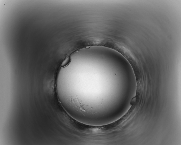 X0000093430509200710191029