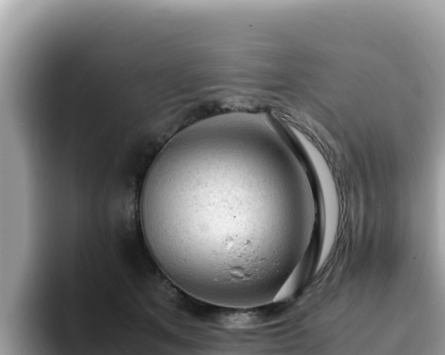 X0000093430513200710191029