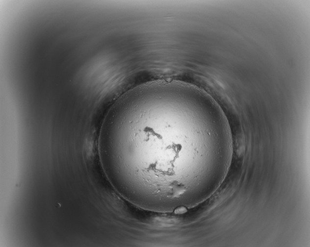 X0000093430515200710191029