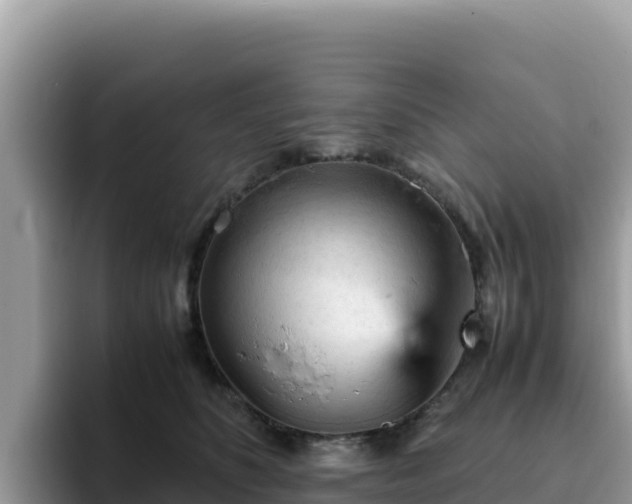 X0000093430516200710191029