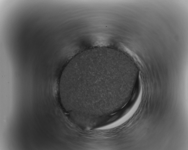 X0000093430517200710191029
