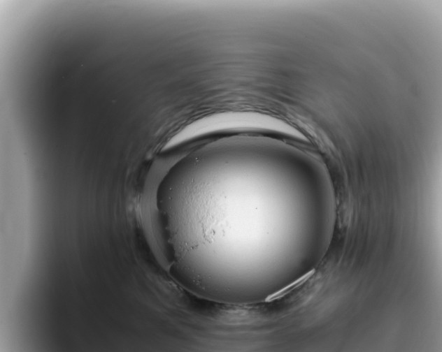 X0000093430521200710191029