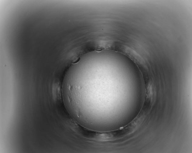 X0000093430522200710191029