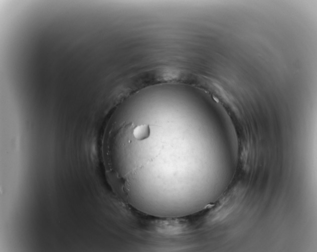 X0000093430524200710191029