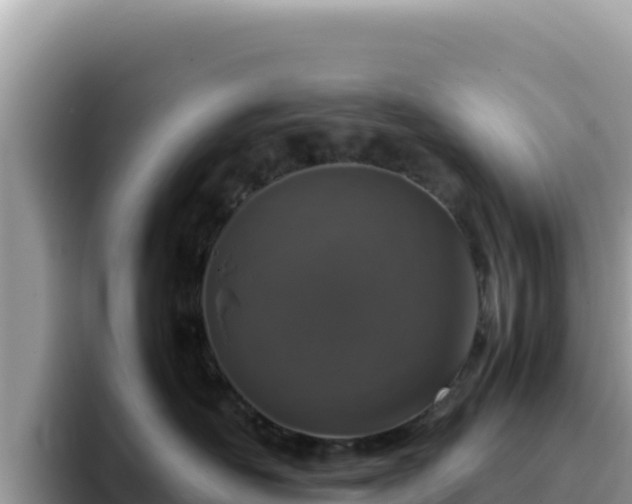 X0000093430526200710191029