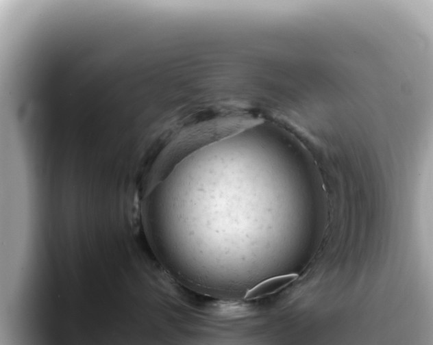 X0000093430528200710191029