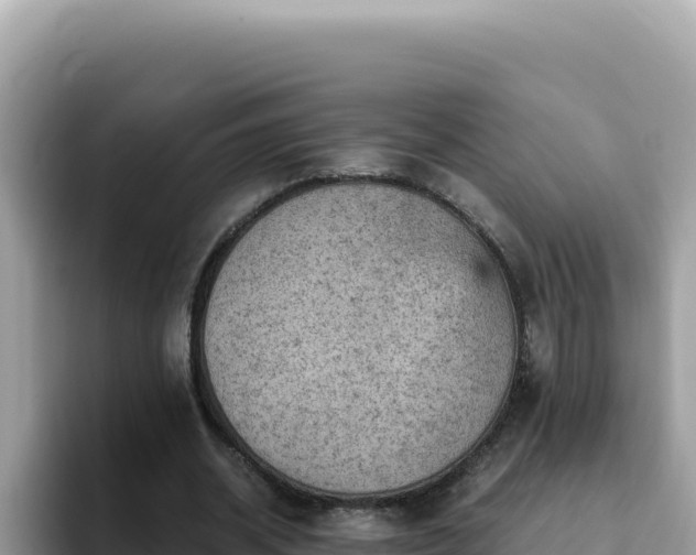 X0000093430534200710191028