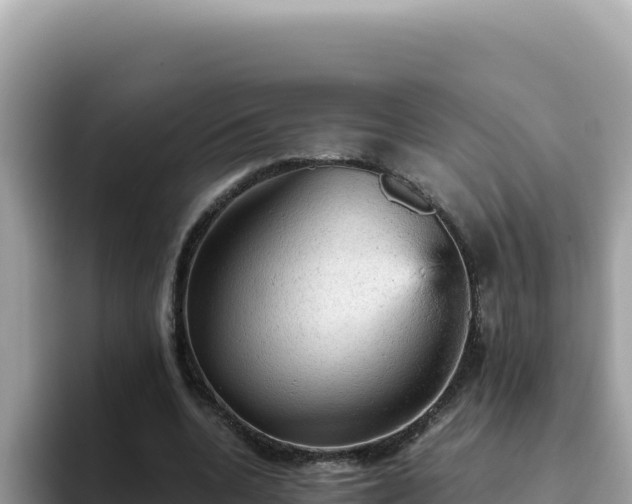 X0000093430536200710191028