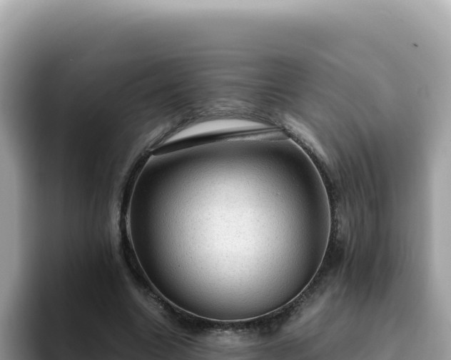 X0000093430538200710191028