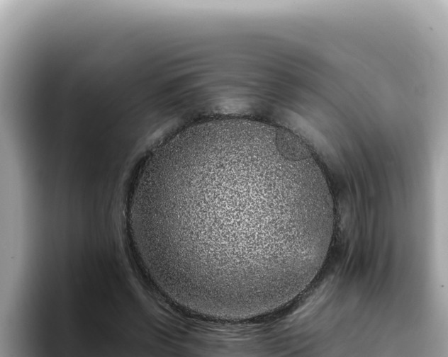 X0000093430542200710191028