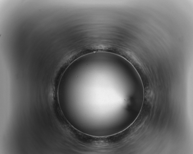 X0000093430544200710191028