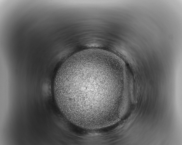X0000093430547200710191028