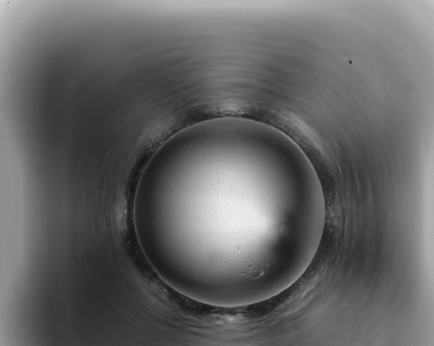 X0000093430552200710191028