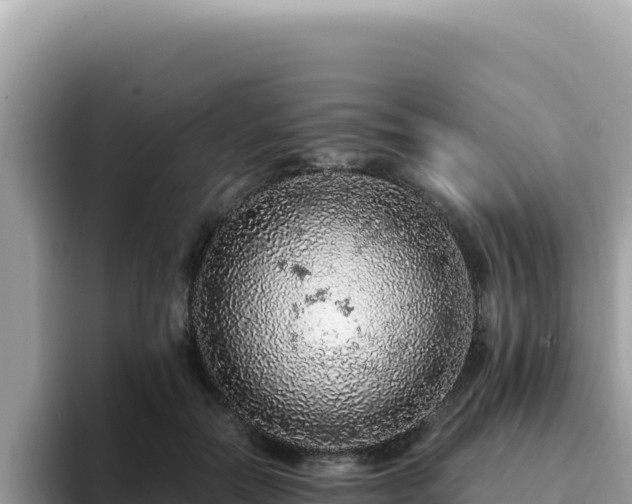 X0000093430554200710191028