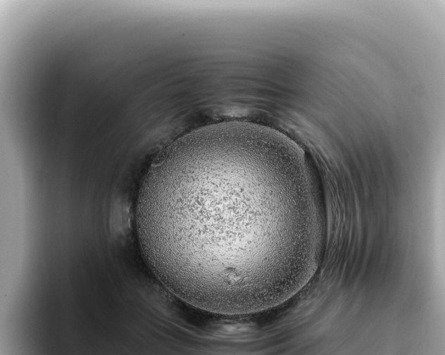 X0000093430555200710191028