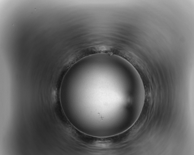 X0000093430556200710191028