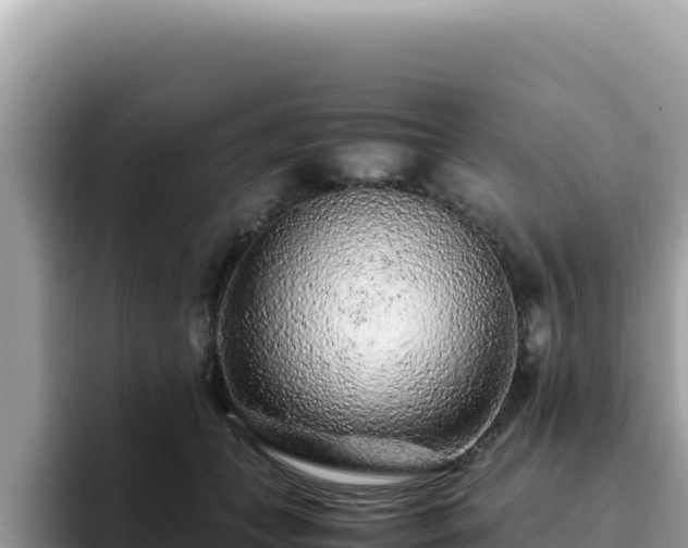 X0000093430559200710191029