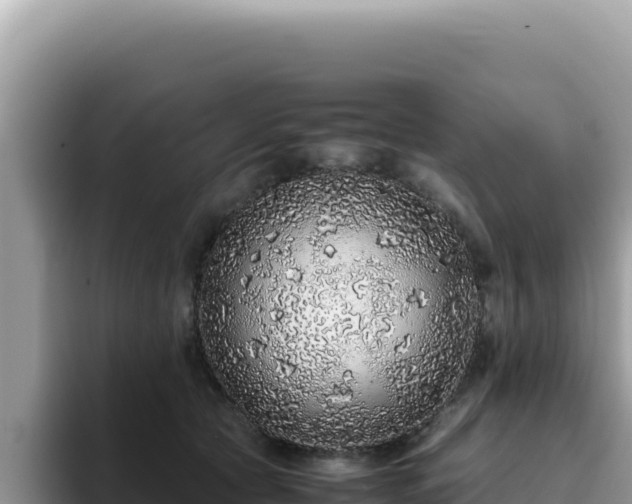 X0000093430561200710191029