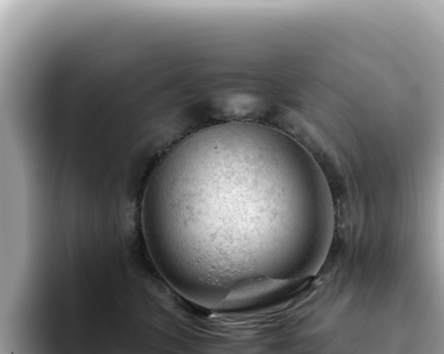 X0000093430563200710191029
