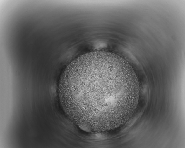 X0000093430565200710191029