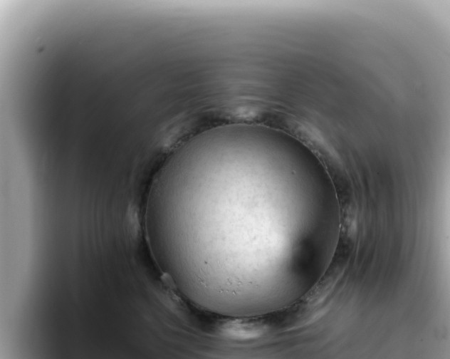 X0000093430568200710191029