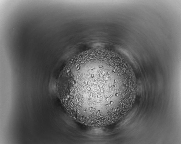 X0000093430573200710191029