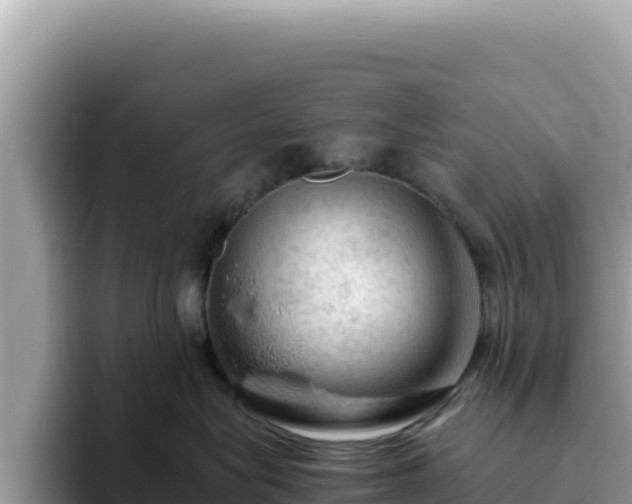 X0000093430575200710191029
