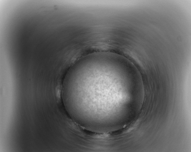 X0000093430576200710191029