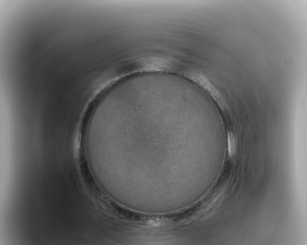 X0000093430579200710191028